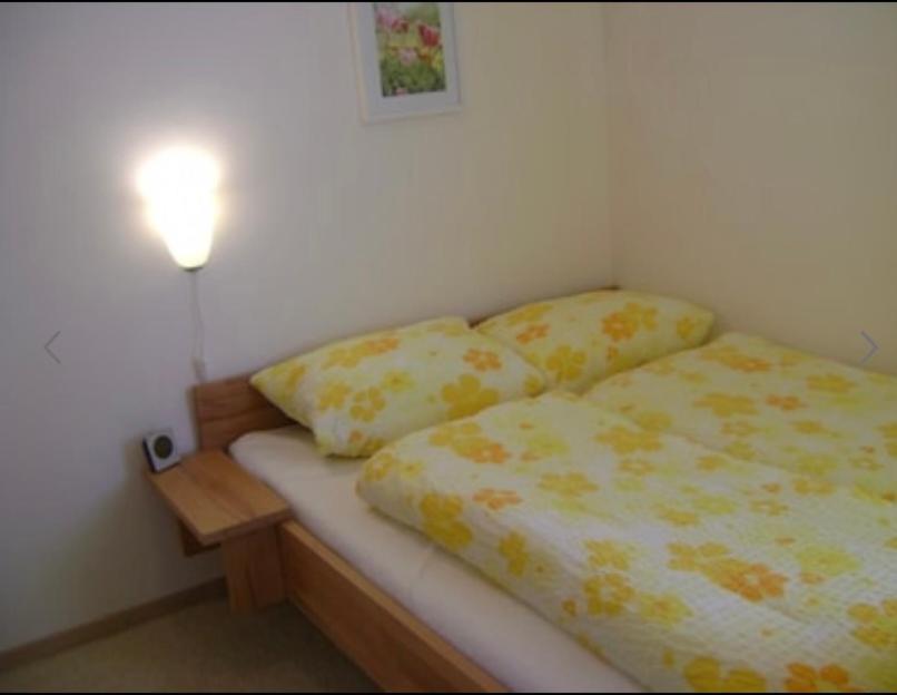 גוסלר Komfort Ferienwohnung Wunder מראה חיצוני תמונה